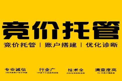 百度竞价包年推广案例：低成本高回报的营销策略